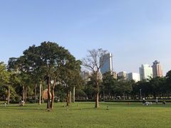 -万绿园