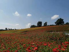 -长春世界雕塑园冰雪艺术天地