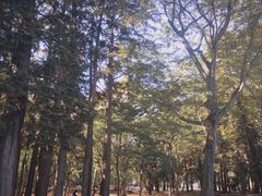 -三鹰之森吉卜力美术馆