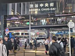 -涩谷区