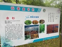 -敬亭山风景名胜区