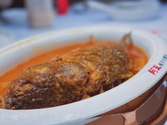 红烧黄河鲤鱼-阿五黄河大鲤鱼(英协路店)