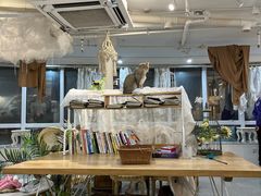 大堂-共舞时光猫咖·狗咖(新街口店)