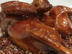 -朱记乳鸽王·非遗石岐乳鸽·全鸽宴(大兴旗舰店)