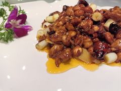 -芙蓉凰花园酒楼