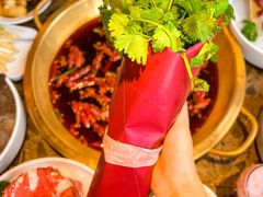 -小龙坎火锅(春熙太古里店)