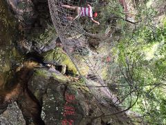 牛鱼嘴原始生态风景区-牛鱼嘴原始生态风景区