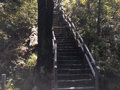 -内乡宝天曼生态旅游区