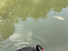 -水濂山森林公园