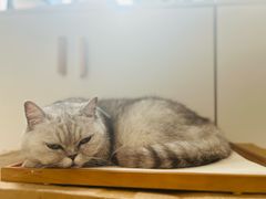 -Oasis绿洲银饰珍珠手作diy(壹方城店)