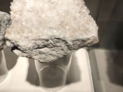 -甘肃地质博物馆