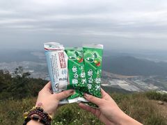 -银瓶嘴森林公园