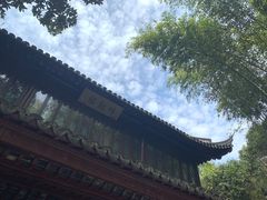 -汇龙潭
