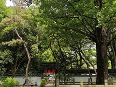 -上海方塔园
