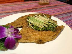 -香巴拉云南餐厅(华莱坞店)