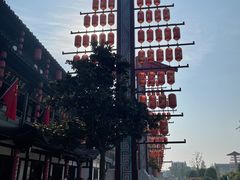 -东台西溪天仙缘景区