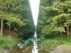 -东平国家森林公园