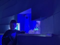-石家庄海洋公园