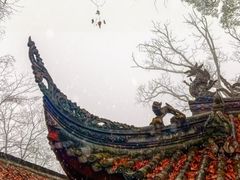-青城山