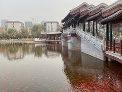 -西海子公园