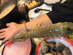 -鲜入围煮花胶鸡海鲜火锅