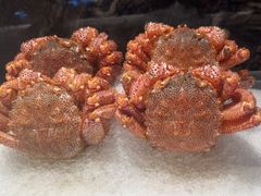 -雍容荟帝王蟹活龙虾展台自助(IFS黑金店)