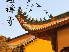 -宝通禅寺