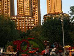 -神仙树公园