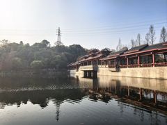-重庆彩云湖湿地公园
