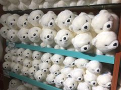 -太平洋海底世界