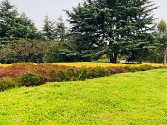 -丁家河公园