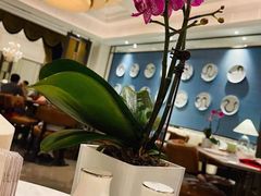 -Yan Ting 宴庭中餐厅(上海静安瑞吉酒店)