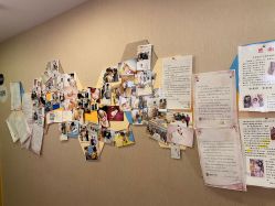 -海豚湾高端月子会所(黄浦店)