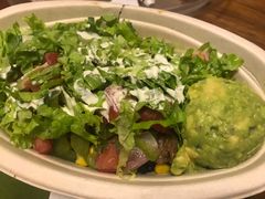 -油梨树AVOCADO TREE(望京店)