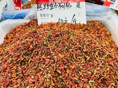 -中国农业博物馆
