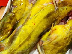 -铭记蛙小仙·活蛙畅享(CBD万达广场店)