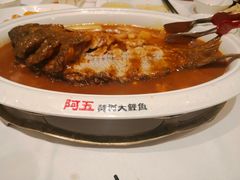 -阿五黄河大鲤鱼(海尚店)