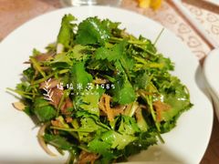 草包牛肉-大鸭梨烤鸭店(花园村店)