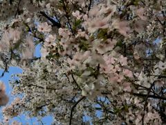 -红星美凯龙北京至尊MALL(东四环中路店)