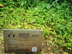 -广州神农草堂中医药博物馆
