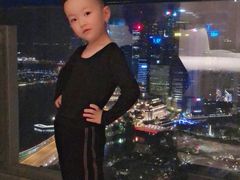 -新加坡瑞士史丹福酒店