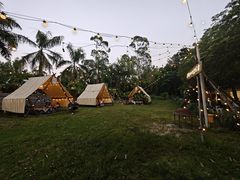 -芭厘·农庄老字号.电饭煲五指毛桃焗鸡