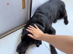 -曹歌摄影图文快印(大学城店)