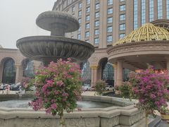 -唐山河头老街国丰维景国际大酒店