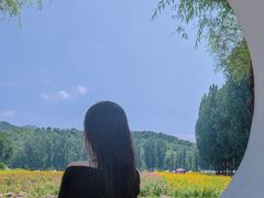 -紫海香堤香草艺术庄园