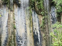 -西双版纳原始森林公园