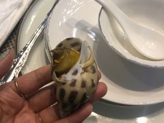 -蒲叙(凯天国际店)