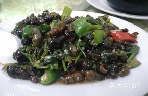 Spicy Mountain Snail