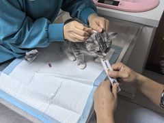 -派联宠物医院·24h·CT·异宠