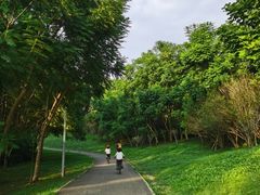 -白鹭湾湿地公园